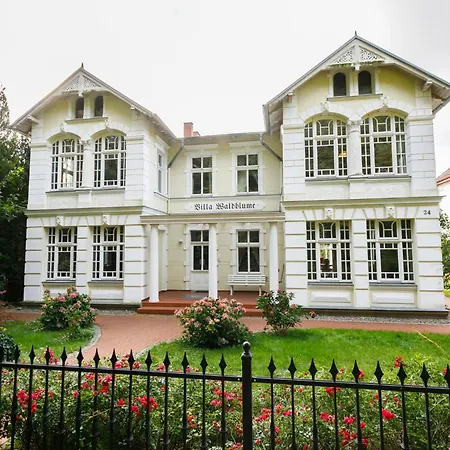 Hortensie By Interhome * צמפין