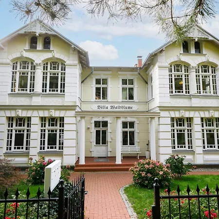 Hortensie By Interhome *